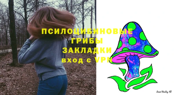 прущая мука Богданович