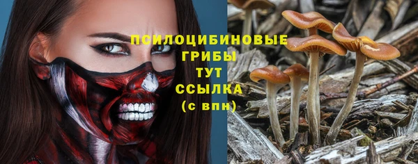 MESCALINE Богородицк