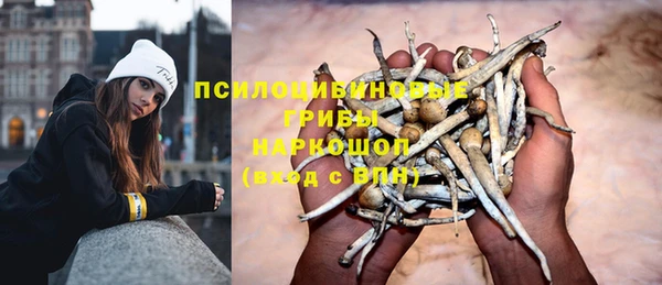 прущая мука Богданович